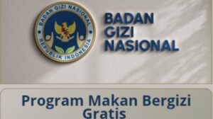 SDMO BGN Adalah Ini Pengertian, Tugas, dan Fungsinya